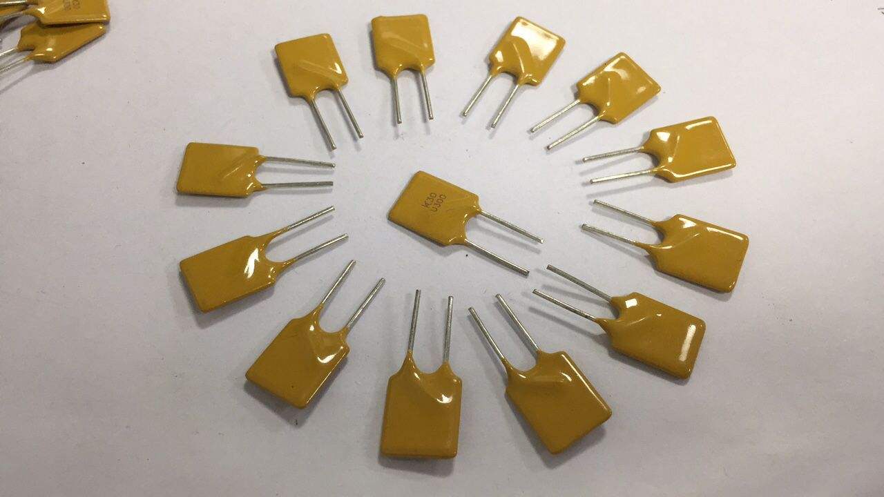 1659520729530797.jpeg pptc.jpeg